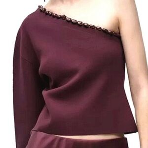 Zara Eggplant NWT One-Shoulder Sweater